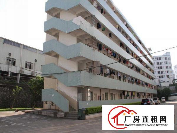 
		出租布吉南岭大芬百门前工业区一楼
	