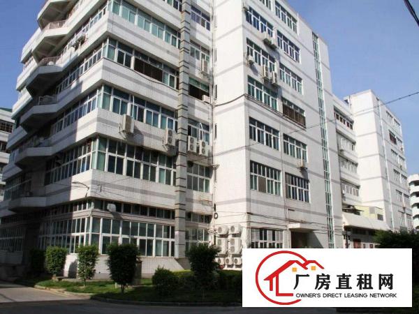 
		出租布吉南岭大芬布沙路百门前工业区厂房
	