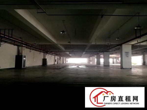 
		布吉丹竹头厂房办公室出租2133平米
	