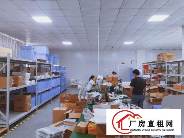 
		布吉街道吉华路九成新1000平方标准厂房精装修带水电出租
	