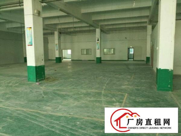 
		出租布吉大芬楼上标准厂房1000平现成办公室
	