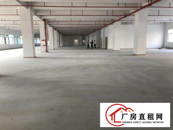 
		出租布吉大芬二楼1100平方标准厂房2部电梯
	