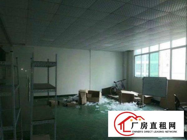 
		出租布吉南岭新出二楼厂房800平方适合电子贸易
	