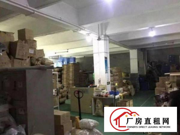 
		出租布吉百鸽笼楼上精装修600平方
	