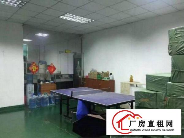 
		出租布吉百鸽笼楼上精装修600平方
	