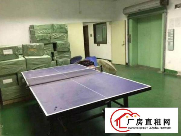 
		出租布吉百鸽笼楼上精装修600平方
	