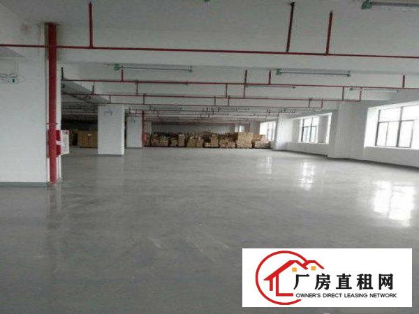 
		布吉大芬新出700平带装修厂房出租
	