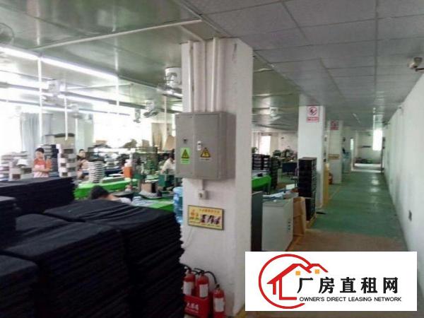 
		布吉大芬工业区楼上厂房500平方带装修出租
	