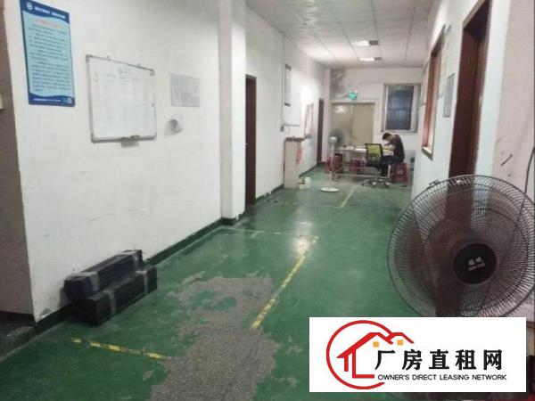 
		布吉丹竹头一楼480平米带装修厂房出租
	