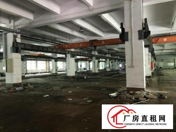 
		出租布吉长龙新出900标准一楼带牛角行车
	