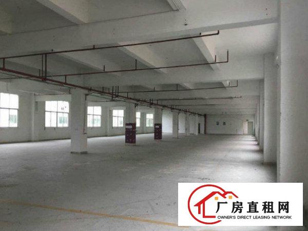 
		出租布吉丹竹头新出二楼厂房450平方水电齐全现成办公装修
	