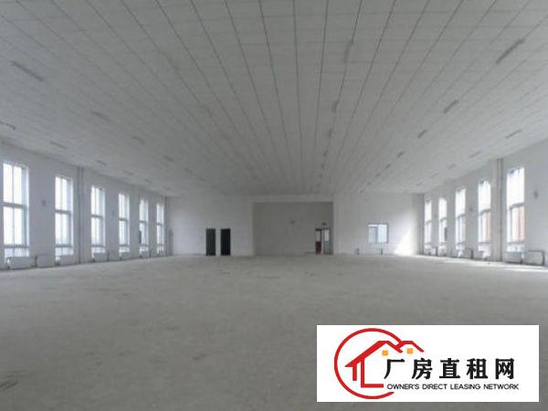 
		布吉长龙550平方小型厂房低，价招租
	