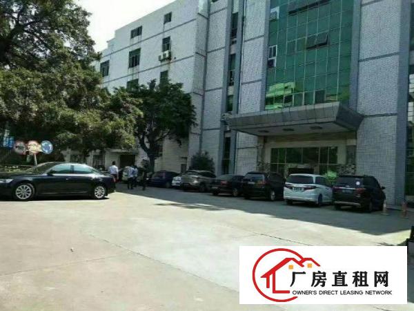 
		出租布吉丹竹头一楼1300平厂房，高6米，现成行车
	
