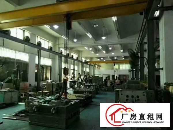 
		出租布吉丹竹头一楼1300平厂房，高6米，现成行车
	