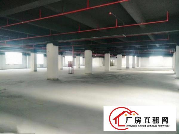 
		丹竹头龙岗大道厂房1000平米
	