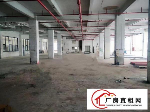 
		丹竹头龙岗大道厂房1000平米
	