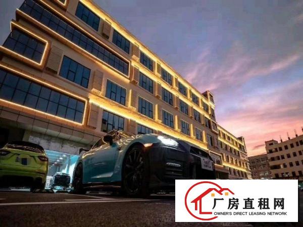 
		丹竹头红棉路仓库1000平米
	