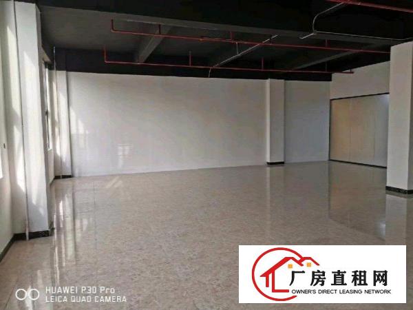 
		丹竹头红棉路仓库1000平米
	