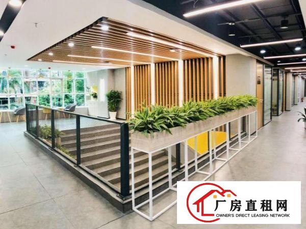 
		个人！布吉豪装办公室，全新装修配家私出红本
	