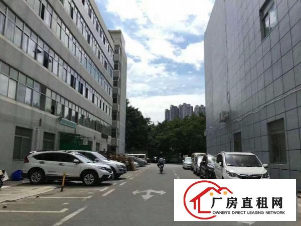 
		南岭工业区300-1000平厂房招租
	