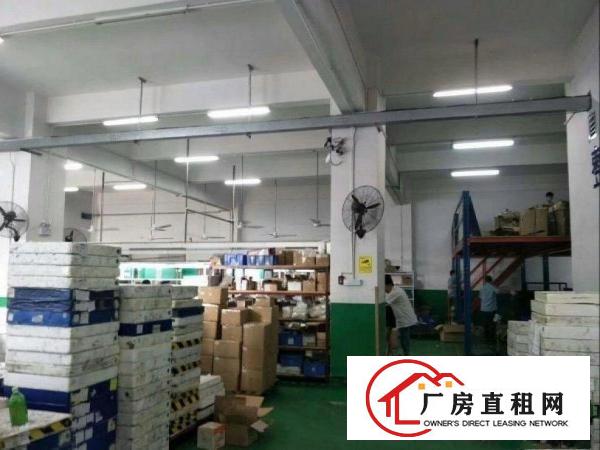 
		出租布吉大芬楼上2000平带精装修厂房
	