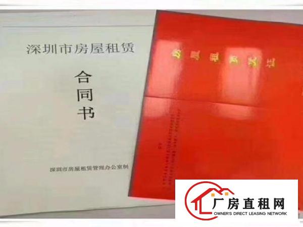 
		出租布吉地铁口精装办公室
	