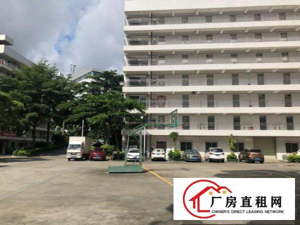 
		木棉湾龙岗大道旁地铁口附近厂房1000平米
	