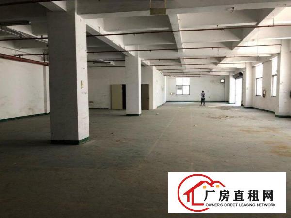 
		木棉湾龙岗大道旁地铁口附近厂房1000平米
	