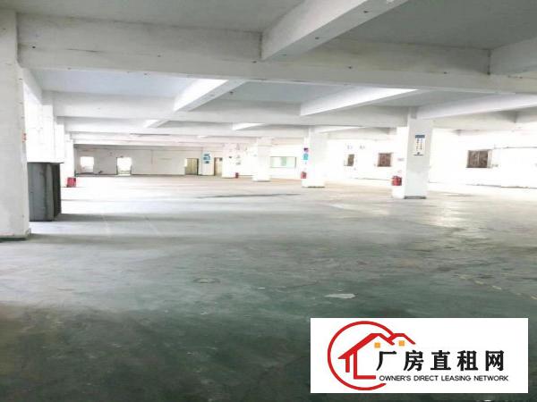 
		直租，布吉康桥1000平厂房出租，物流配送，画框加工等
	