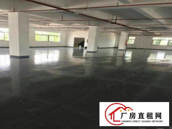 
		出租布吉丹竹头二楼厂房1500平方，带精装修
	