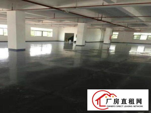 
		出租布吉丹竹头二楼厂房1500平方，带精装修
	