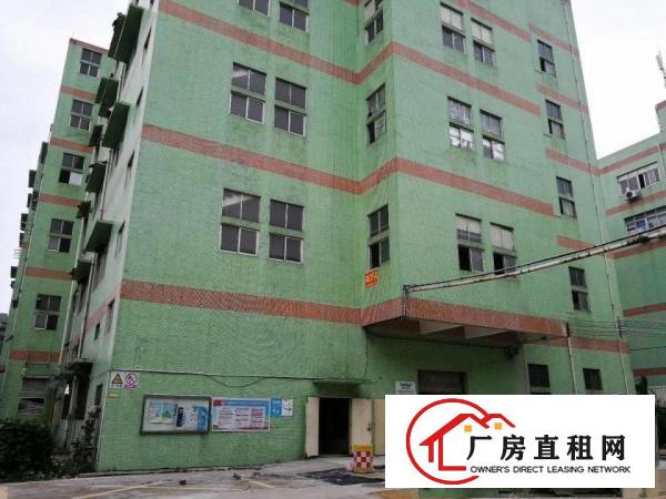 
		布吉上李朗工业园物业直租整层2800平可分租无行业限制
	