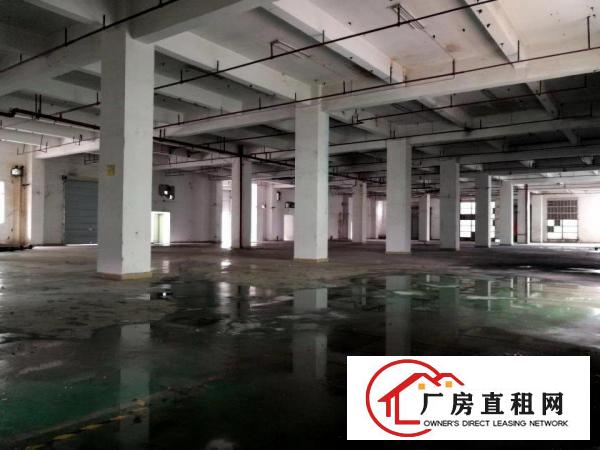 
		布吉上李朗工业园物业直租整层2800平可分租无行业限制
	