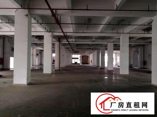 
		布吉上李朗工业园物业直租整层2800平可分租无行业限制
	