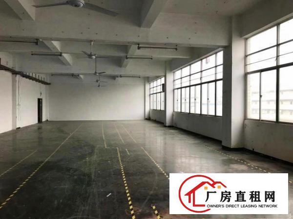 
		布吉上李朗工业园物业直租整层2800平可分租无行业限制
	