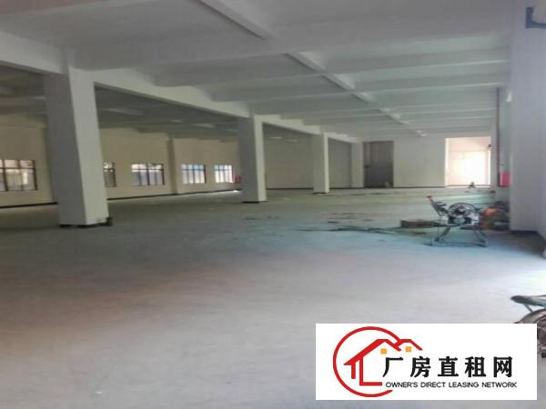 
		出租布吉百鸽笼1楼厂房800平方现成水电
	