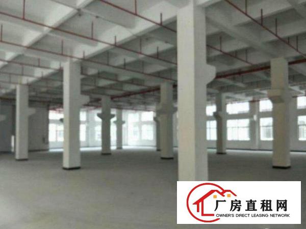 
		布吉丹竹头一楼厂房1500平方招租，有现成办公室，水电齐全
	