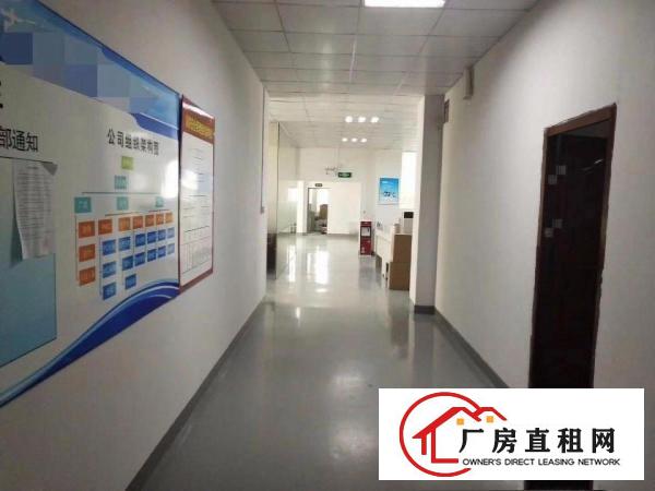 
		丹竹头地铁口二楼1000平带装修电商办公厂房出租
	