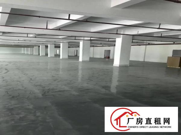 
		百鸽笼可园厂房500平米
	