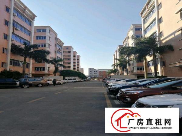 
		龙山工业区100-2000平厂房招租
	