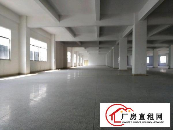 
		龙山工业区100-2000平厂房招租
	