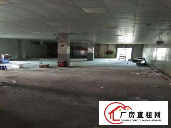 
		深圳布吉丹竹头紧靠海吉星300平精装修带冷库出租，
	