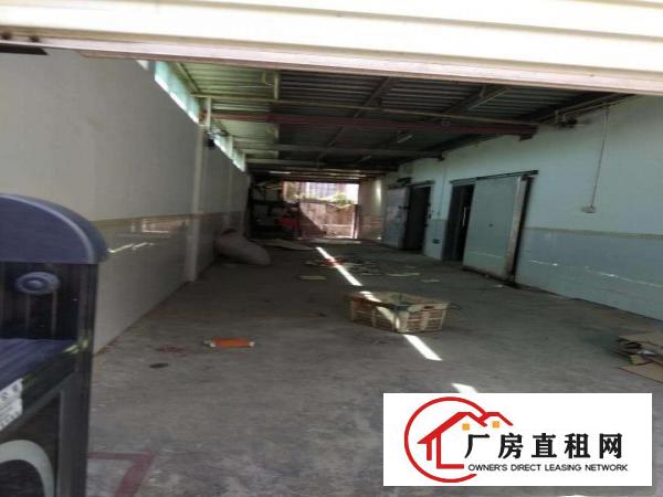 
		深圳布吉丹竹头紧靠海吉星300平精装修带冷库出租，
	