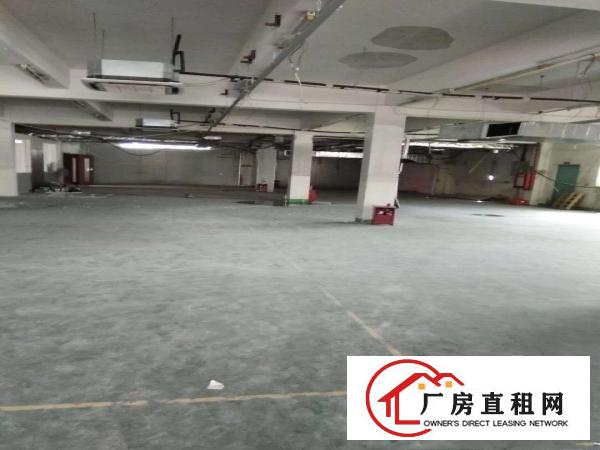 
		深圳布吉丹竹头紧靠海吉星300平精装修带冷库出租，
	