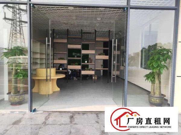 
		深圳布吉丹竹头紧靠海吉星300平精装修带冷库出租，
	