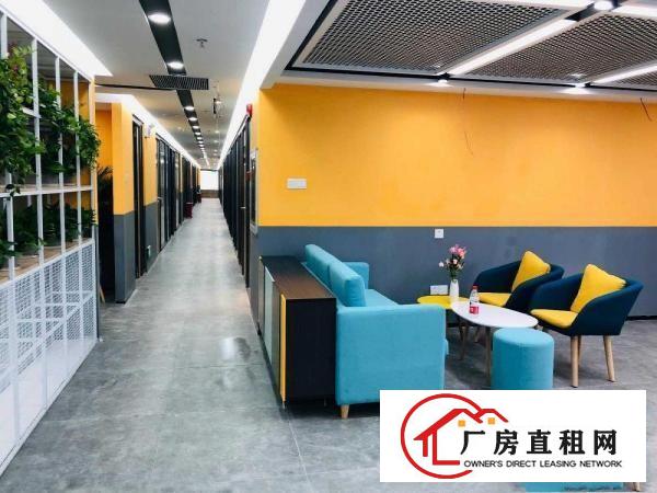 
		来了！必租！布吉百鸽笼办公室出租，家私网络全包
	