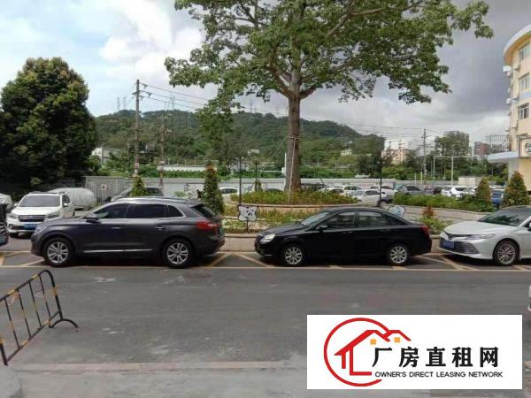 
		布吉沙湾精装办公厂房97平米起租
	