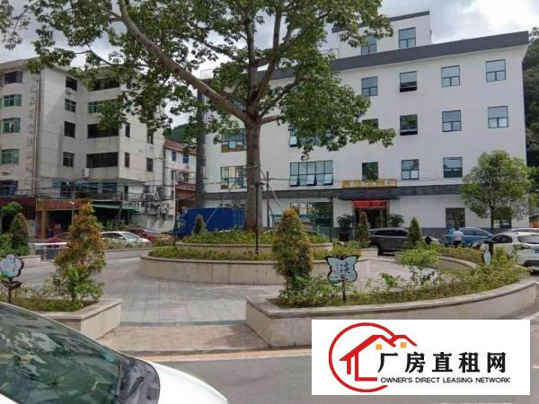 
		布吉沙湾精装办公厂房97平米起租
	