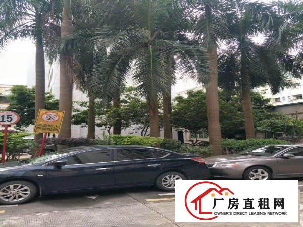 
		布吉丹竹头地铁口层高7米一楼厂房900平适合仓库，配送，研
	