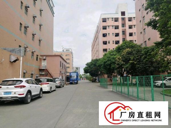 
		丹竹头立信路200-1000平方厂房仓库招租
	